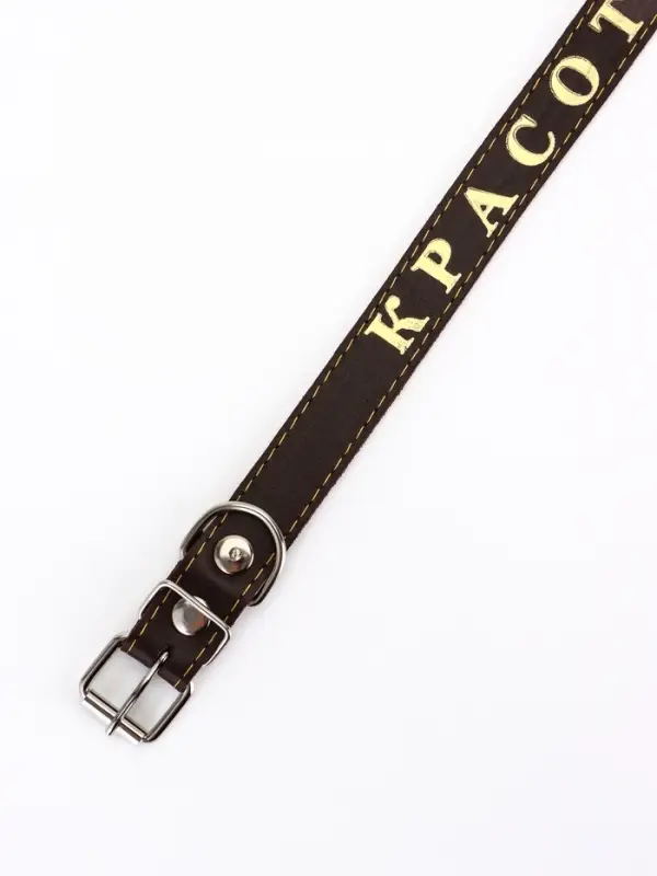 Ошейник &laquo;Красотка&raquo;, 60&times;2.5 см, однослойный, тиснение фольгой, кожа, цвет МИКС