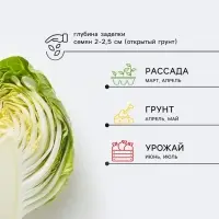 Семена Капуста цветная &laquo;Уайтэксел&raquo;, F1, 10 шт., &laquo;Престиж семена&raquo;