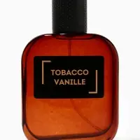 Туалетная вода мужская Free Style Tobacco Vanille, 100 мл