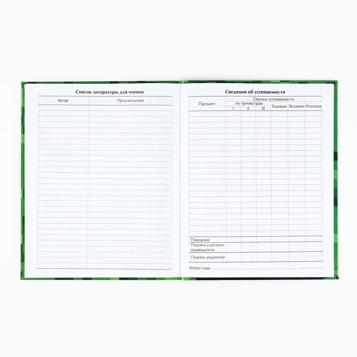 Дневник школьный для 1-11 класса, в интегральной обложке, 40 л. «Пиксель» Дневник школьный для 1-11 класса, в интегральной обложке, 40 л. «Пиксель»