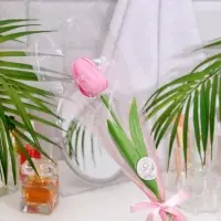 Мыльный тюльпан, розовый