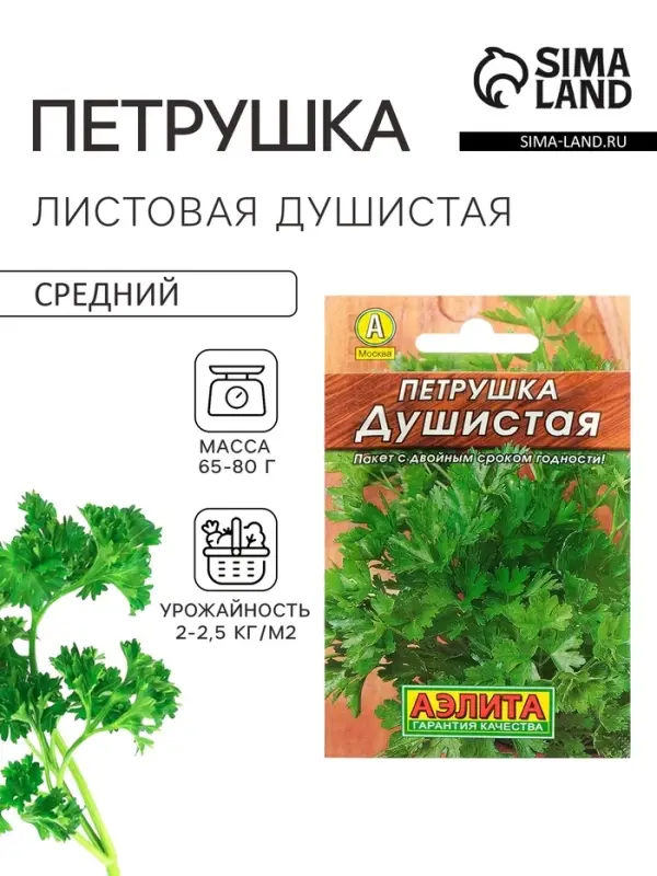 Семена Петрушка листовая &laquo;Душистая&raquo;, 2 г, &laquo;Аэлита&raquo;