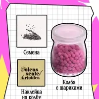 Набор для опытов &laquo;Выращиваем травку&raquo;, своими руками, розовый