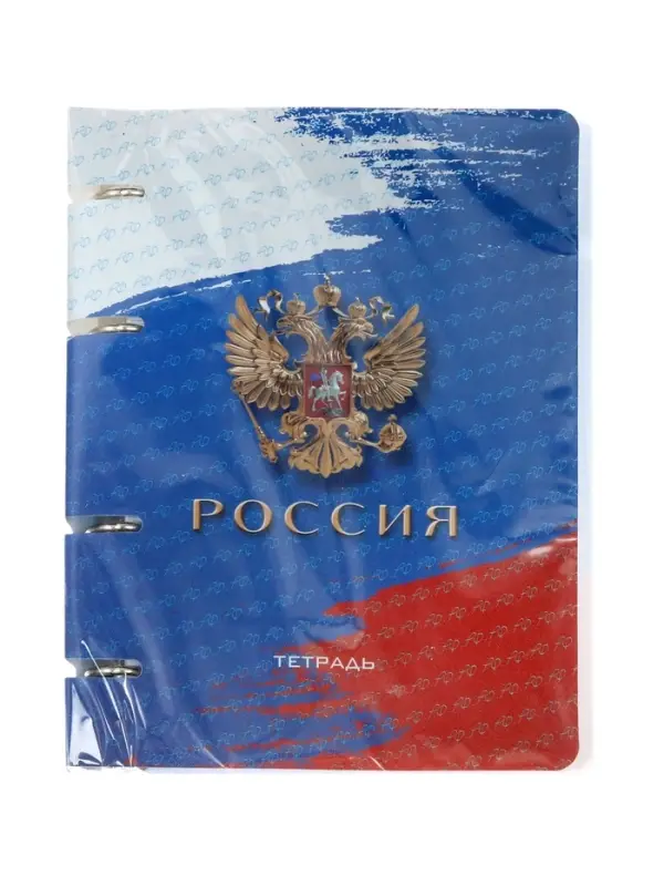 Тетрадь на кольцах A5 &laquo;Россия&raquo;, 80 листов в клетку, вырубка под кольца, сменный блок