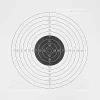 Мишень Remington №4 спортивная, черная, 50 х 50 см