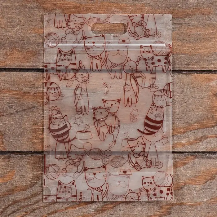 Пакет подарочный, с zip - lock застежкой, 15×23 см Пакет подарочный, с zip - lock застежкой, 15×23 см