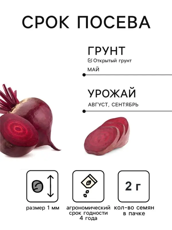 Семена Свекла &laquo;Хуторянка&raquo;, 2 г