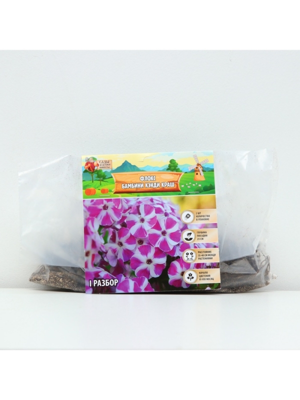 Флокс «Бамбини Кэнди Краш» ркорневище в пакете с торфогрунтом, -р I, 2 шт.