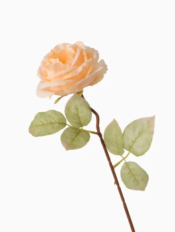 Цветы искусственные &laquo;Роза шёлк&raquo;, d=10 см, h=45 см, кремовые