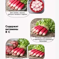 Семена Редис &laquo;18 дней&raquo;, 3 г, &laquo;Сембат&raquo;