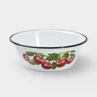 Миска эмалированная &laquo;Вишнёвый сад&raquo;, 2 л, d=23 см, с деколью, белая