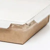 Салатник одноразовый, контейнер с прозрачной крышкой, крафт, 0.5 л, 16&times;12&times;4.5 см