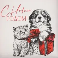 Коробка для кондитерских изделий с пластиковой крышкой «С Новым годом!», 21×21×3 см
