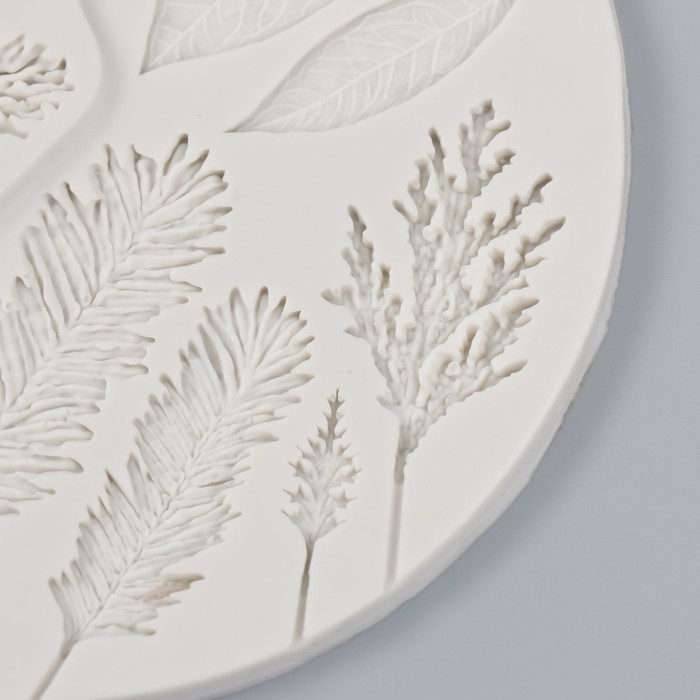 Молд силикон Молд силикон "Дары природы" 13,9х0,8 см