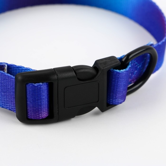 Ошейник «Даже на краю света», застёжка - фастекс, 2 см 25-40 см Ошейник «Даже на краю света», застёжка - фастекс, 2 см 25-40 см