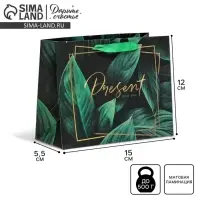Пакет подарочный ламинированный, упаковка, Present for you, S 15&times;12&times;5.5 см