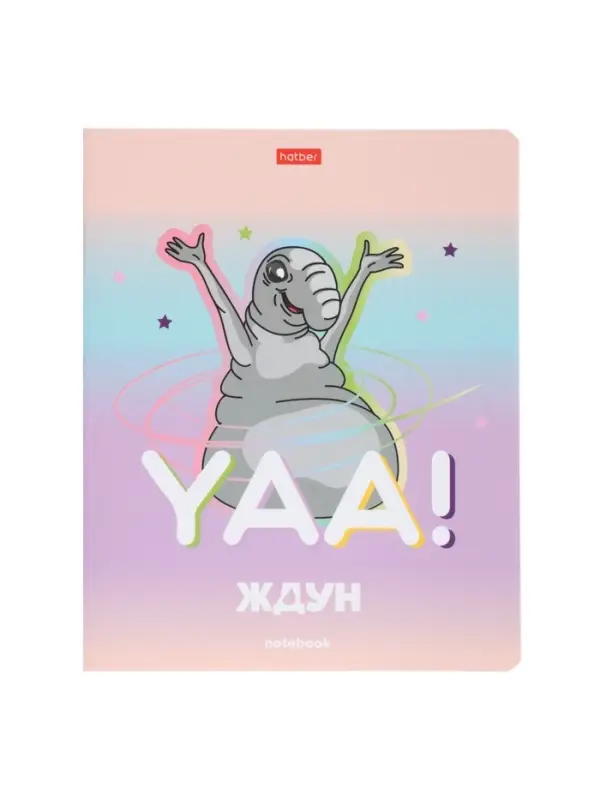 Тетрадь 48л кл Hatber Тетрадь 48л кл Hatber "ЖДУН", на скобе, скругл углы, мат лам, 60-65г/м² 5В МИКС