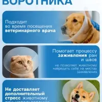 Ветеринарный воротник с креплением на ошейник, ОШ 13-28.5 см, высота 15 см, без ошейника