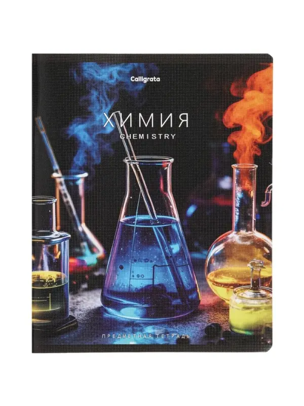 Комплект 12 предметных тетрадей 48 листов, справочная информация, 60гр, Моменты