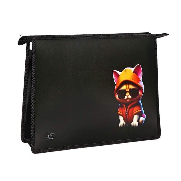 Папка для тетрадей А4, 325 х 230 х 55 мм, молния сверху, пластиковая, ПМ-А4-29 Calligrata  Папка для тетрадей А4, 325 х 230 х 55 мм, молния сверху, пластиковая, ПМ-А4-29 Calligrata "Кот крутой"