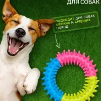 Жевательная игрушка для собак &laquo;Кусочек счастья&raquo;, 9.5 см