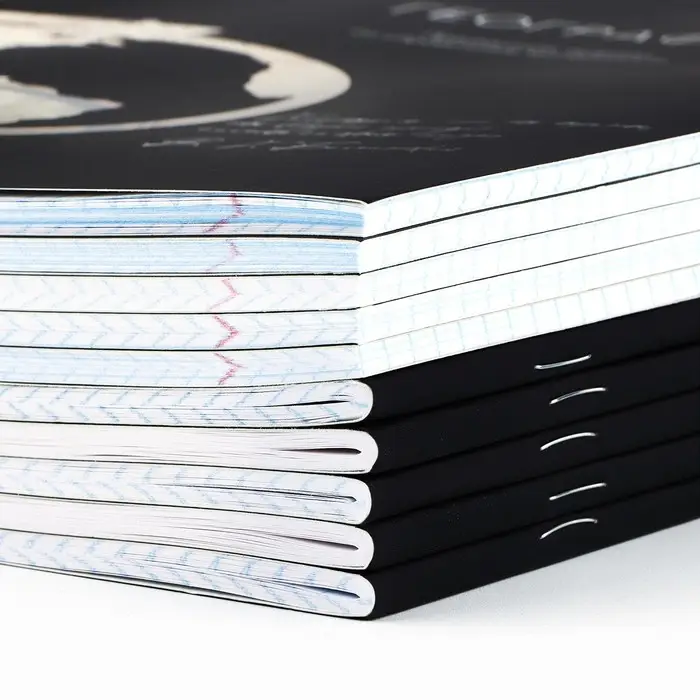 Тетради предметные, 48 л., набор из 10 шт., блок №1, софт тач лам, уф лак &laquo;Силуэт&raquo;