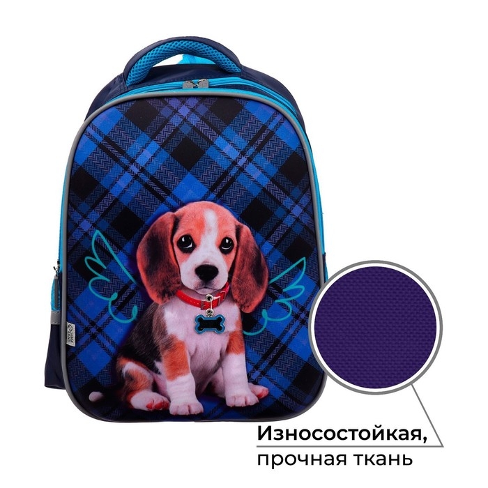 Рюкзак каркасный школьный, 39 х 30 х 14 см, Calligrata "Собачка"