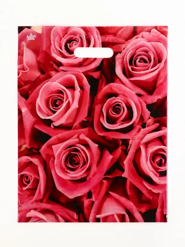 Пакет подарочный &laquo;Джейми&raquo;, полиэтиленовый с вырубной ручкой, л 40&times;31 см, 60 мкм