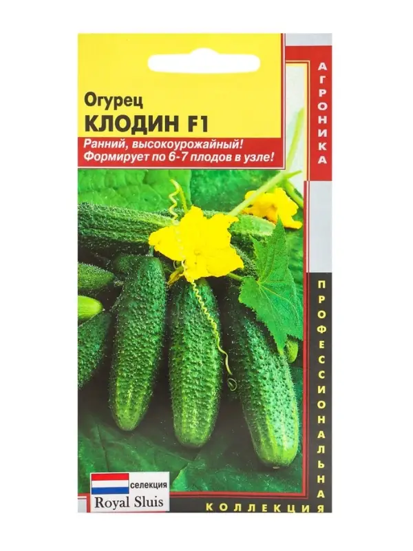 Семена Огурец "Клодин" F1, Раннеспелый, партенокарпический, 5 шт