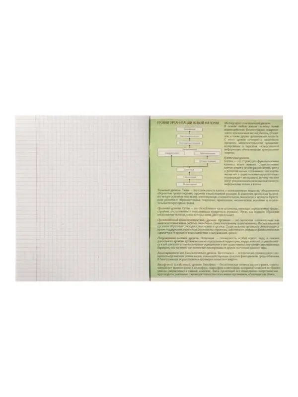 Тетрадь предметная 48 листов в клетку Calligrata, «Металл. Биология», обложка мелованный картон, серые листы