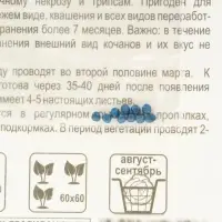 Семена Капусты белокочанной &laquo;Килатон&raquo;, F1, 10 шт., &laquo;Сибирский сад&raquo;