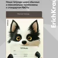 Тетрадь 12 листов в клетку ErichKrause Note Friends, МИКС