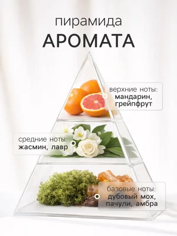 Диффузор ароматический с палочками Hygge Home Мандарин, Амбра, Пачули, 50 мл