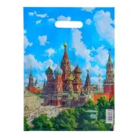 Пакет подарочный &laquo;Кремль&raquo;, полиэтиленовый с вырубной ручкой, 30&times;40 см 50 мкм