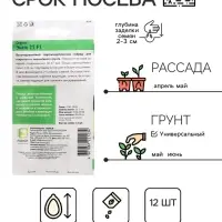 Семена Огурец "Энеж 21", F1, 12 шт