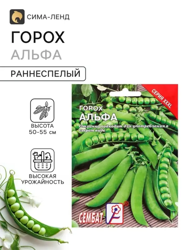 Семена Горох &laquo;Альфа&raquo;, XXXL, &laquo;Сембат&raquo;, 25 г