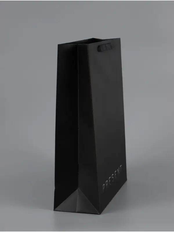 Пакет ламинированный вертикальный Present, 33&times;42&times;10 см
