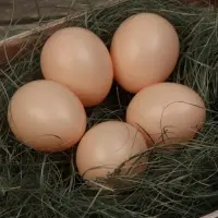 Яйцо искусственное подкладное, для кур, 4×5 см, 1 шт., коричневое, Greengo