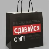 Пакет подарочный &laquo;НГ&raquo;, 22&times;22&times;11 см, крафт