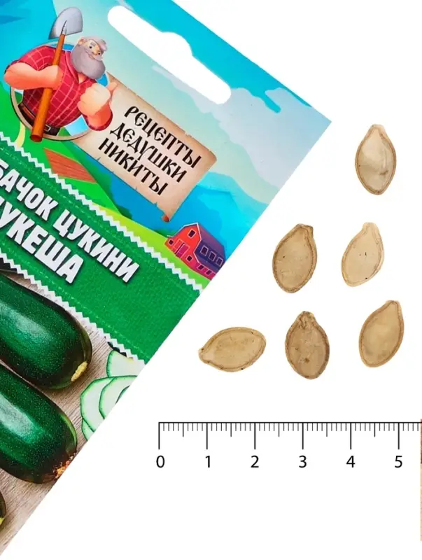 Семена Кабачок цукини  Семена Кабачок цукини "Цукеша", 2 г