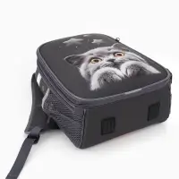 Рюкзак школьный для девочки &laquo;Котик&raquo;, Stavia, эргономичная спинка, 30&times;16&times;38 см, серый