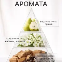 Диффузор ароматический с палочками ХО The Nicety, 200 мл