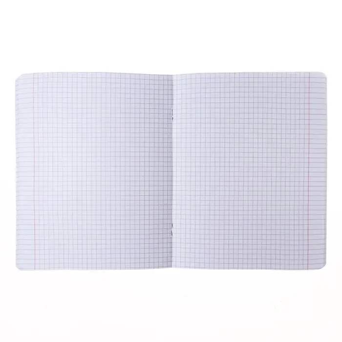 Тетрадь 48 листов в клетку, NEWtone PASTEL "Мята", обложка мелованный картон, глянцевая ламинация, блок офсет 80г/м2