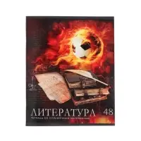 Предметная тетрадь по литературе Calligrata &laquo;Футбол&raquo;, 48 листов, в линейку, со справочным материалом, обложка из мелованного картона