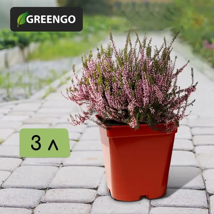 Горшок для рассады, 3 л, d = 16 см, h = 16 см, терракот, Greengo Горшок для рассады, 3 л, d = 16 см, h = 16 см, терракот, Greengo