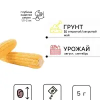 Семена Кукуруза сахарная &laquo;Лакомка Белогорья&raquo;, 5 г, серия &laquo;ХИТ х3&raquo;, &laquo;Гавриш&raquo;