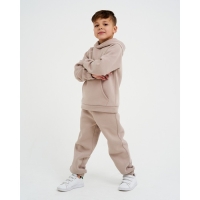 Костюм детский с начёсом (толстовка, брюки) KAFTAN "Basic line" р.34 (122-128), бежевый