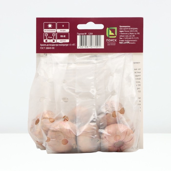 Гладиолус крупноцветковый «Джессика», луковица цветов в пакете с перфорацией, р-р 10/12, 10 шт.