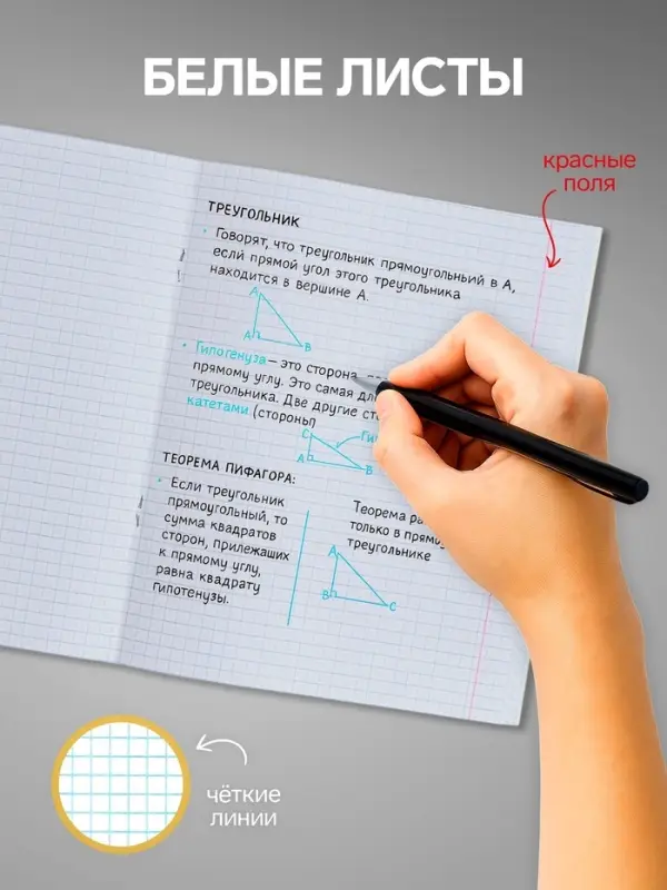 Набор тетрадей 24 листа в клетку Calligrata "Сочный Микс. Паттерн", серые листы, МИКС, 10 шт.