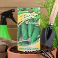 Семена огурца "Бабайка", F1, 10 шт. Семена огурца "Бабайка", F1, 10 шт.